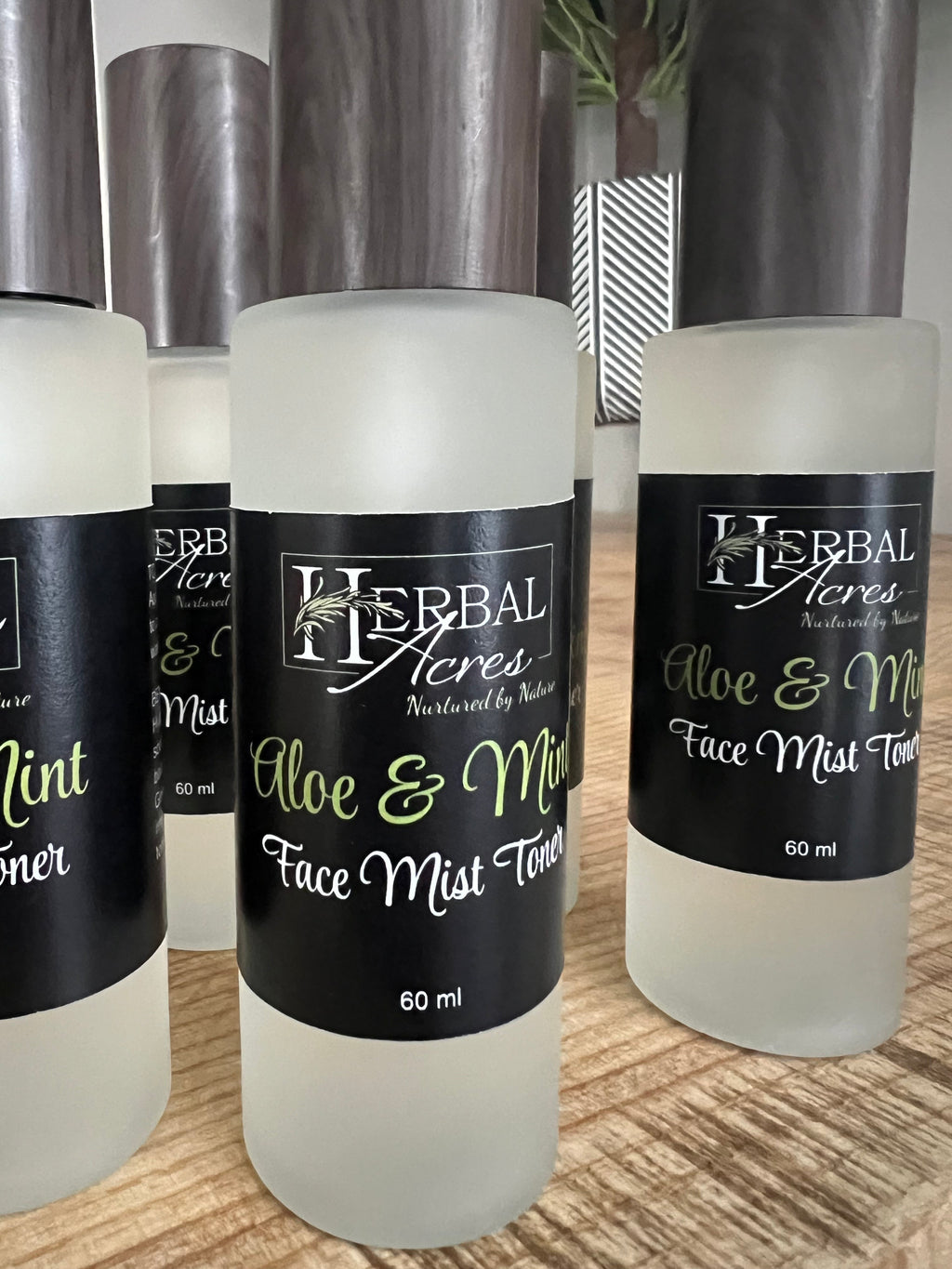 Aloe & Mint Face Mist Toner 60 ml