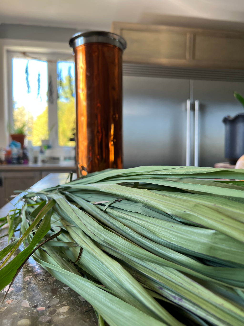 Lemongrass Hydrosol (Floral Water) 120 ml