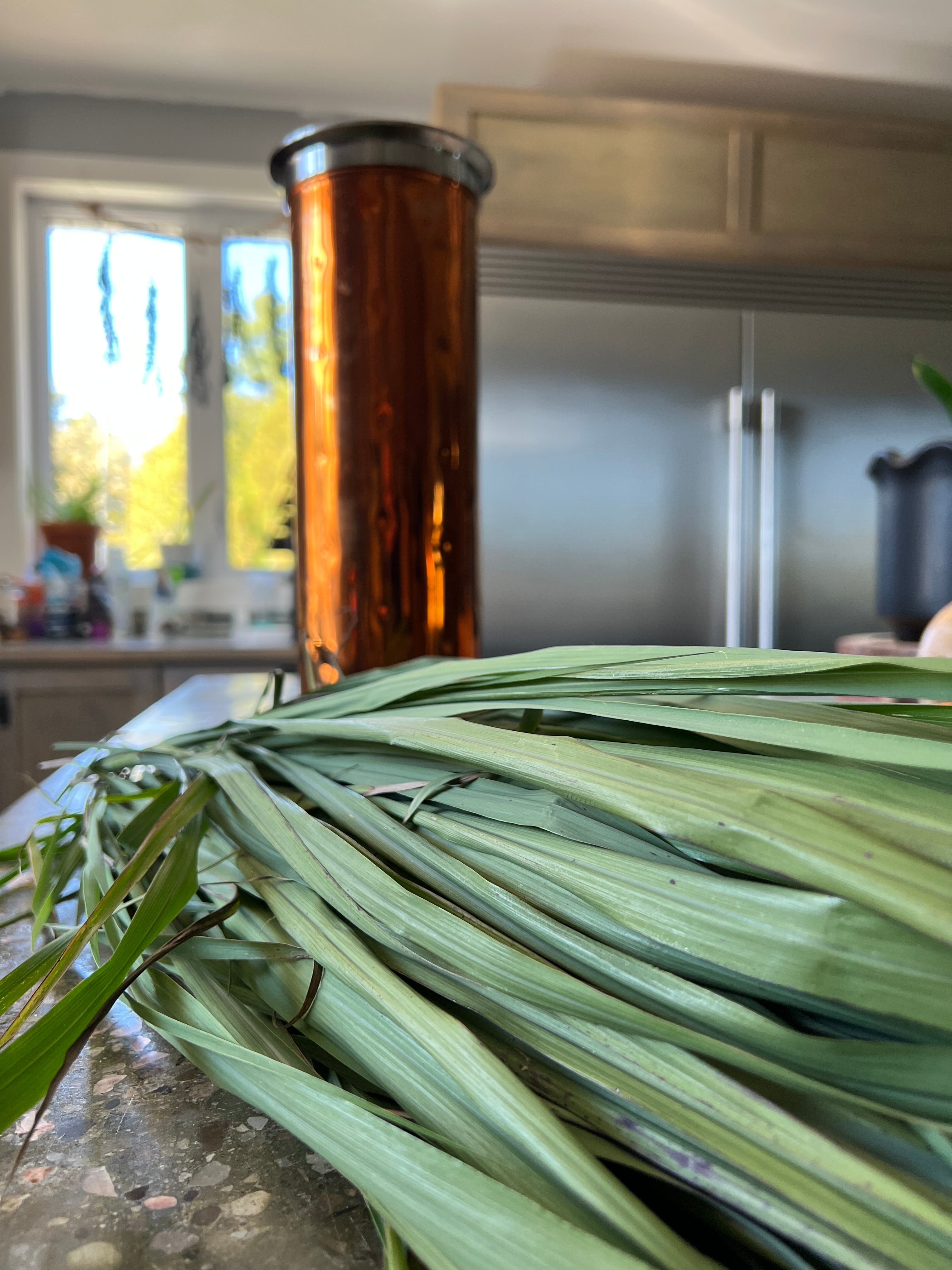 Lemongrass Hydrosol (Floral Water) 120 ml